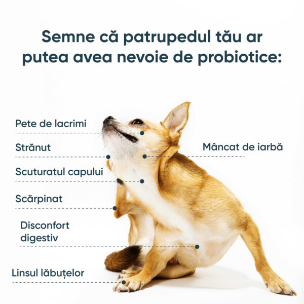 SciPet Probiotice pentru câini - 60 buc. - imagine 2